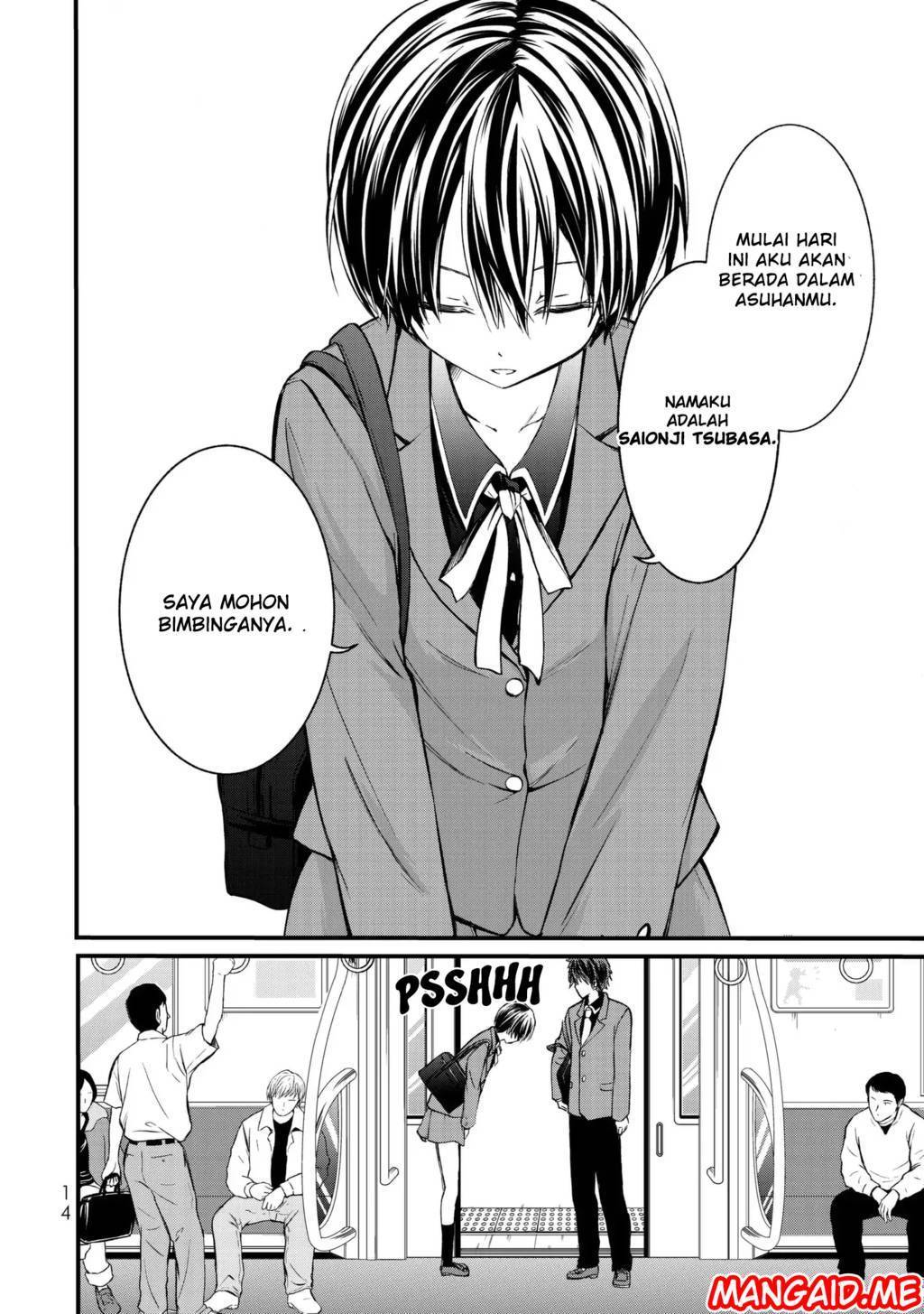 Ojou-sama no Shimobe